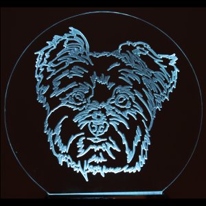 (image for) Yorkie/Silky