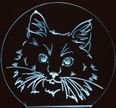 (image for) Cat Face