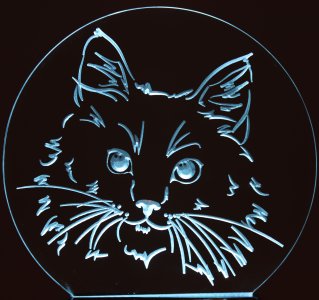 (image for) Cat Face