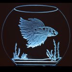 (image for) Fish Bowl