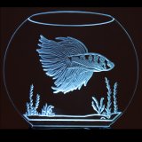 (image for) Fish Bowl