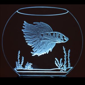 (image for) Fish Bowl