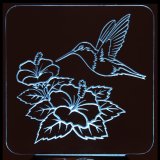 (image for) Hummingbird