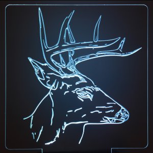 (image for) Deer