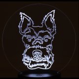 (image for) Schnauzer