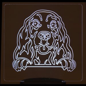 (image for) Cocker Spaniel