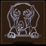 (image for) Dachshund
