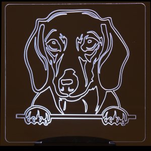 (image for) Dachshund