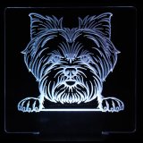(image for) Yorkie