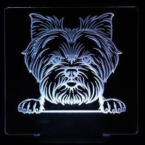 (image for) Yorkie