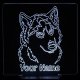 (image for) Husky