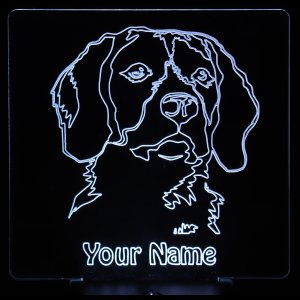 (image for) Beagle