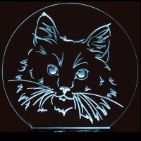 (image for) Cats