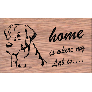 (image for) Home is Where My Lab Is